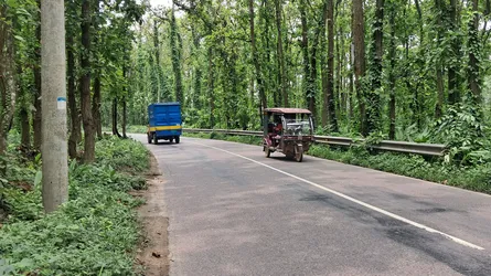 শ্রীপুরে সড়কে গাছ ফেলে ডাকাতি, ২ জনকে বেঁধে মোটরসাইকেল নিয়ে গেছে ডাকাতেরা