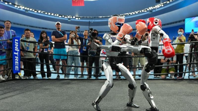 Robot-kickboxing