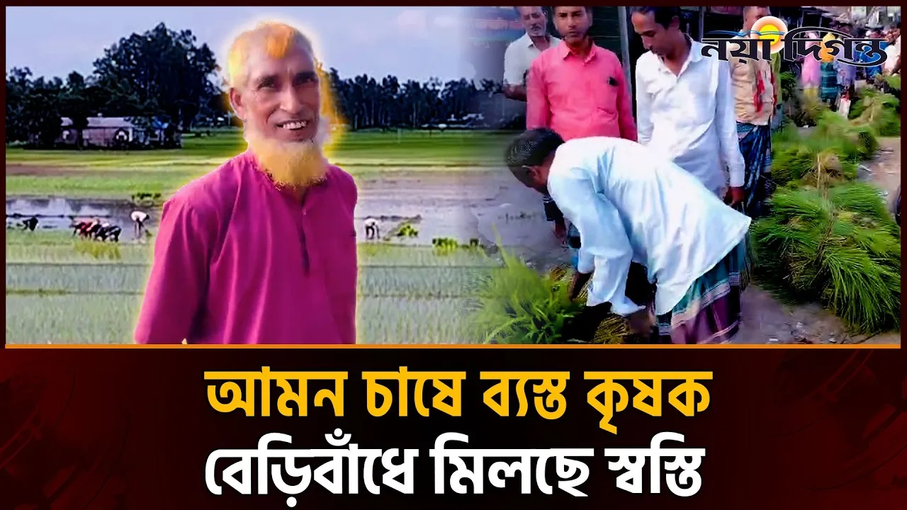 রৌমারীতে বন্যার পানি কমতেই মাঠে ফিরেছে কৃষকের কর্মচাঞ্চল্য