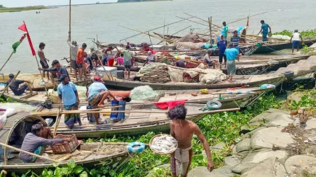 নিষেধাজ্ঞা শেষে নদীতে জেলেদের ভিড়, ইলিশের অভাব