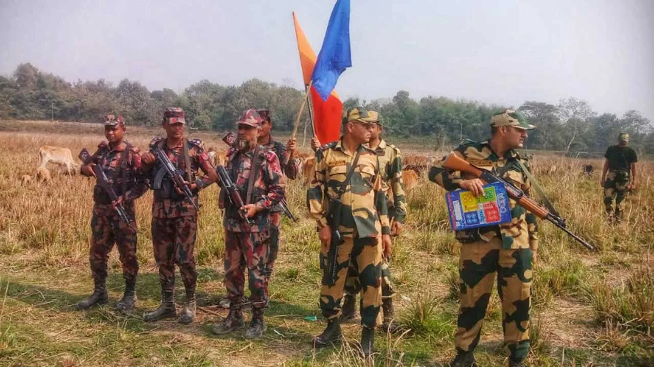 রৌমারী সীমান্তে ৯৫টি গরু ফেরত দিলো বিএসএফ