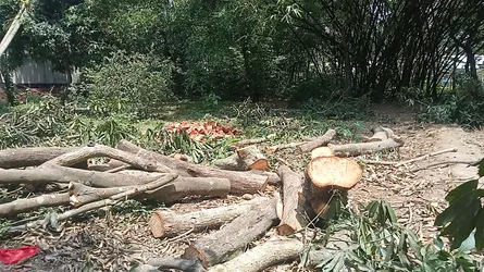 সাদুল্লাপুরে জমি নিয়ে বিরোধের ঘটনায় ১৪৪ ধারা জারি