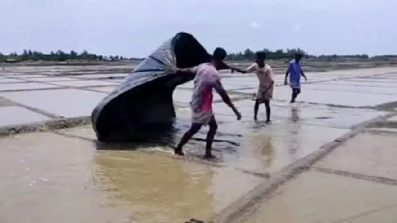 কক্সবাজারে বিরূপ আবহাওয়ায় লবণ উৎপাদনে ব্যাঘাত