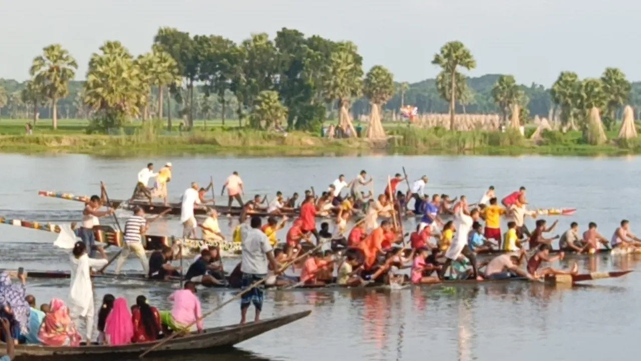 সালথায় গ্রামবাংলার ঐতিহ্যবাহী নৌকাবাইচ প্রতিযোগিতা