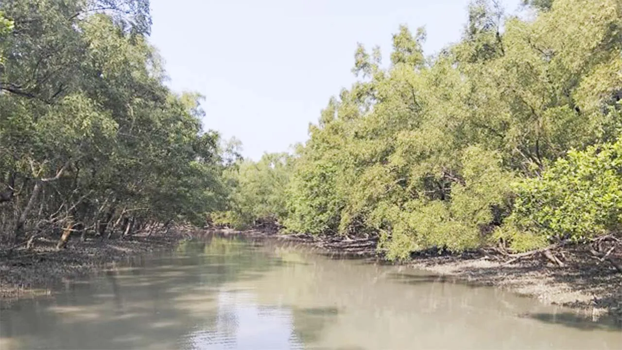 সীমিত করা হয়েছে বনরক্ষীদের ছুটি