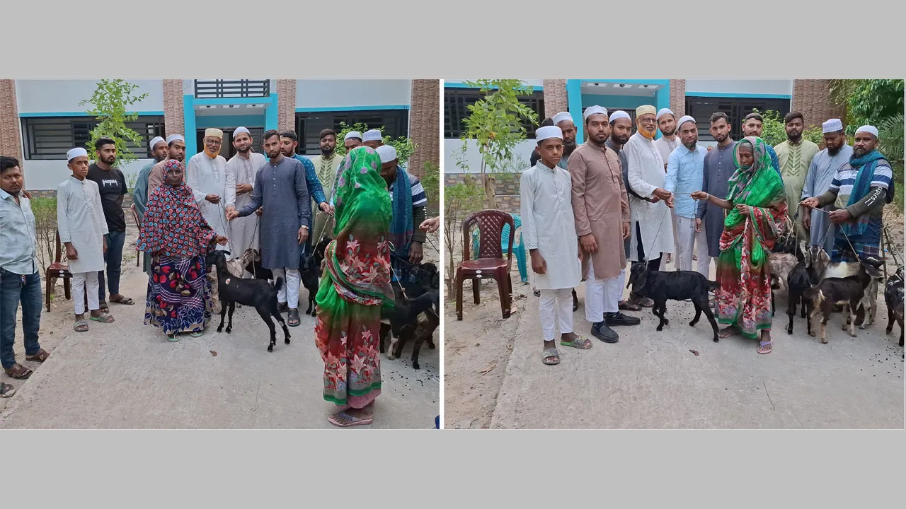 জামায়াতের উদ্যোগে দুস্থদের মাঝে ছাগল ও নগদ অর্থ বিতরণ
