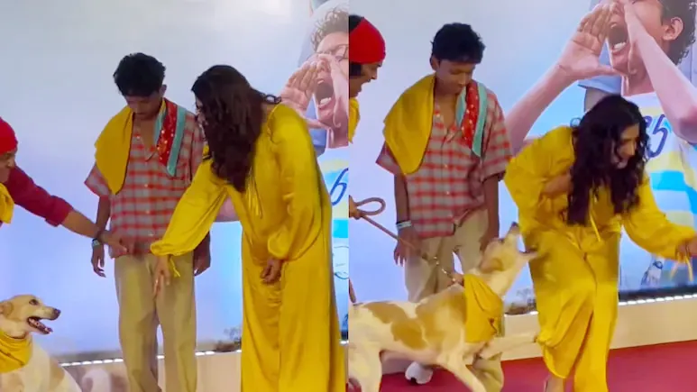 রেড কার্পেটে কুকুরের বিড়ম্বনা, প্রশংসিত রভিনার শান্ত আচরণ