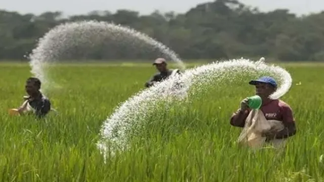 খুচরা বিক্রিব্যবস্থা বাতিল হলে সার বিতরণে ডিলারকেন্দ্রিক সিন্ডিকেট গড়ে উঠবে