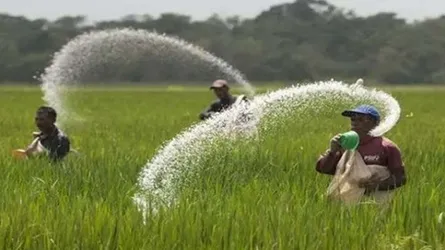 খুচরা বিক্রিব্যবস্থা বাতিল হলে সার বিতরণে ডিলারকেন্দ্রিক সিন্ডিকেট গড়ে উঠবে