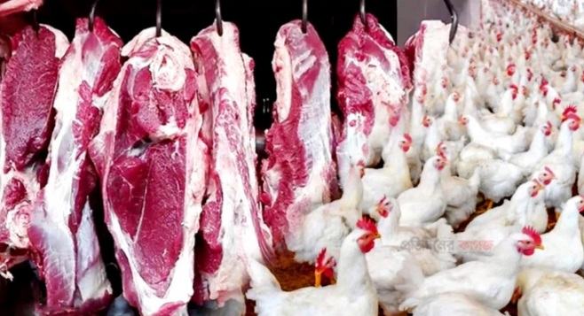 Meat-chicken