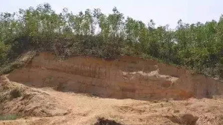 রাজনৈতিক পৃষ্টপোষকতায় ধ্বংস হচ্ছে পাহাড়