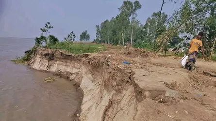 যমুনা-ব্রহ্মপুত্র ও দশআনী নদীর তীব্র ভাঙনে নিঃস্ব পরিবার