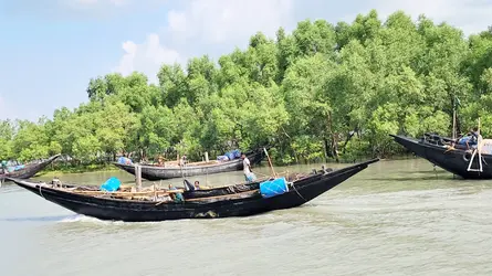 দুই দিনে পূর্ব সুন্দরবনে ১৮ জেলে অপহরণ