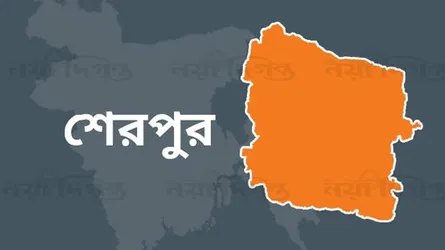 শেরপুরে বিনামূল্যে বিতরণের ৩ টন চাল জব্দ