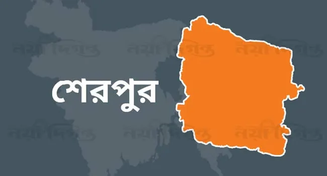 শেরপুরে আগুন লেগে বাড়িসহ ফার্নিচার দোকান ভস্মীভূত