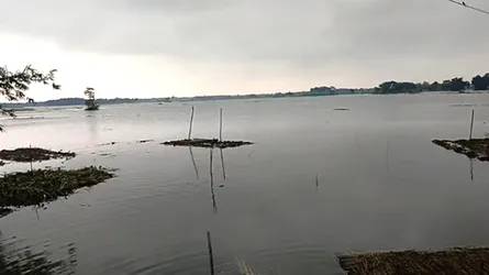 শৈলকুপায় পানিতে তলিয়ে গেছে ১০০ গ্রামের ফসল