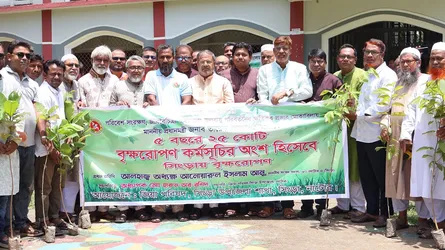 নাটোরের সিংড়ায় বৃক্ষরোপণ কর্মসূচির উদ্বোধন এমপির
