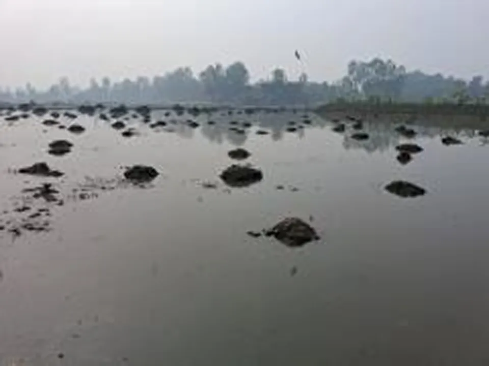 রায়গঞ্জে আওয়ামী লীগ নেতার অবৈধ বাঁধে কৃষি বিপর্যয়