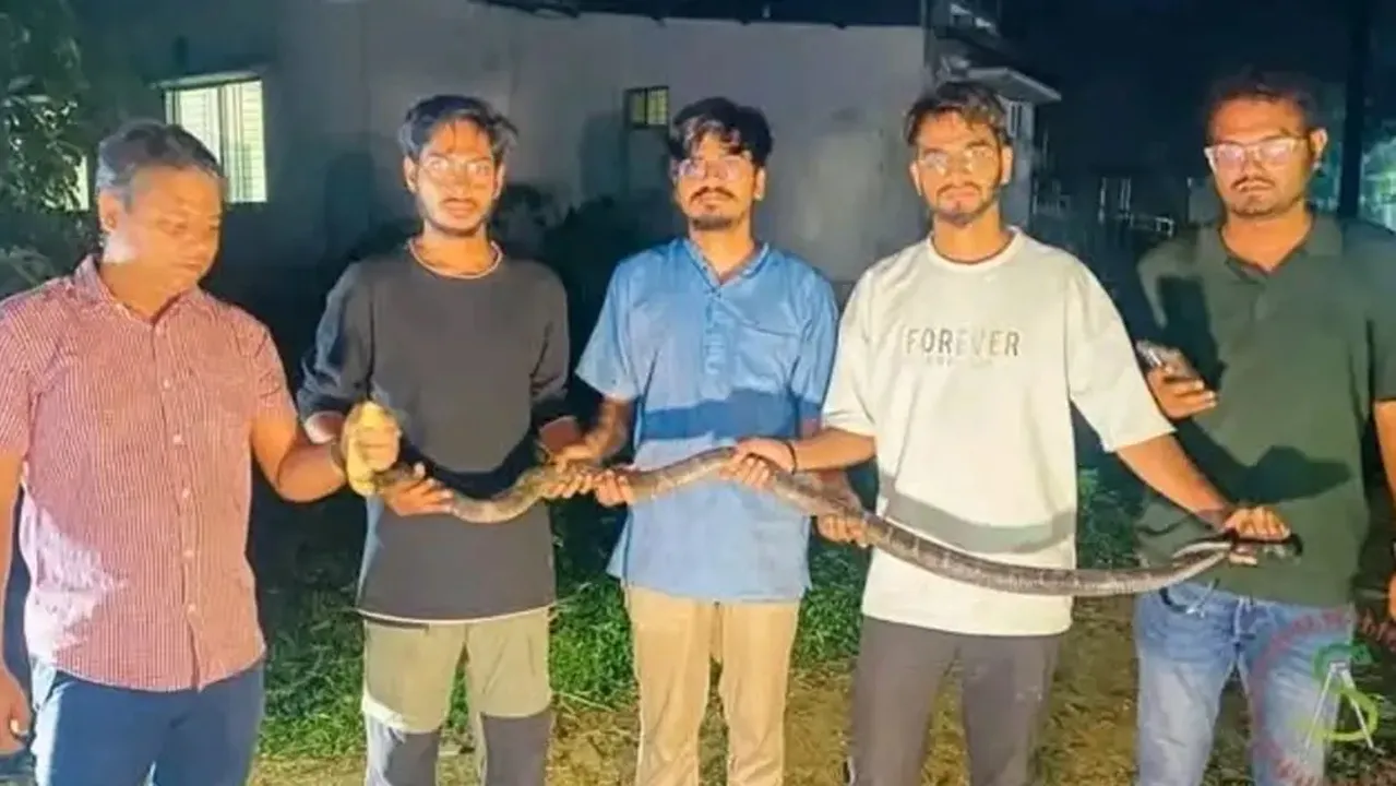 চট্টগ্রাম বিশ্ববিদ্যালয়ে ৮ ফুট লম্বা কিং কোবরা সাপ উদ্ধার