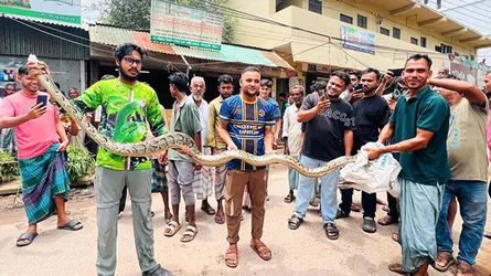 বিশ্ববিদ্যালয় ক্যাম্পাস থেকে ১৫ ফুট লম্বা সাপ উদ্ধার