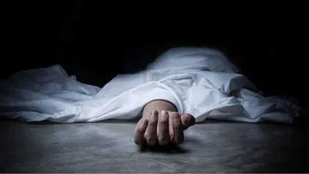 বড়াইগ্রামে সাপের দংশনে গৃহিণীর মৃত্যু