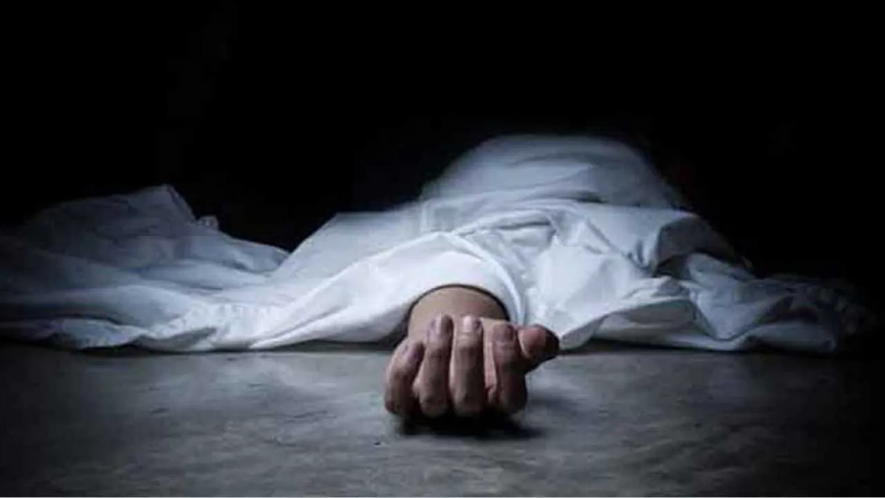 বড়াইগ্রামে সাপের দংশনে গৃহিণীর মৃত্যু