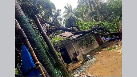 সোনাগাজীতে টর্নেডোর আঘাতে ২০ পরিবারের স্বপ্ন লন্ডভন্ড!