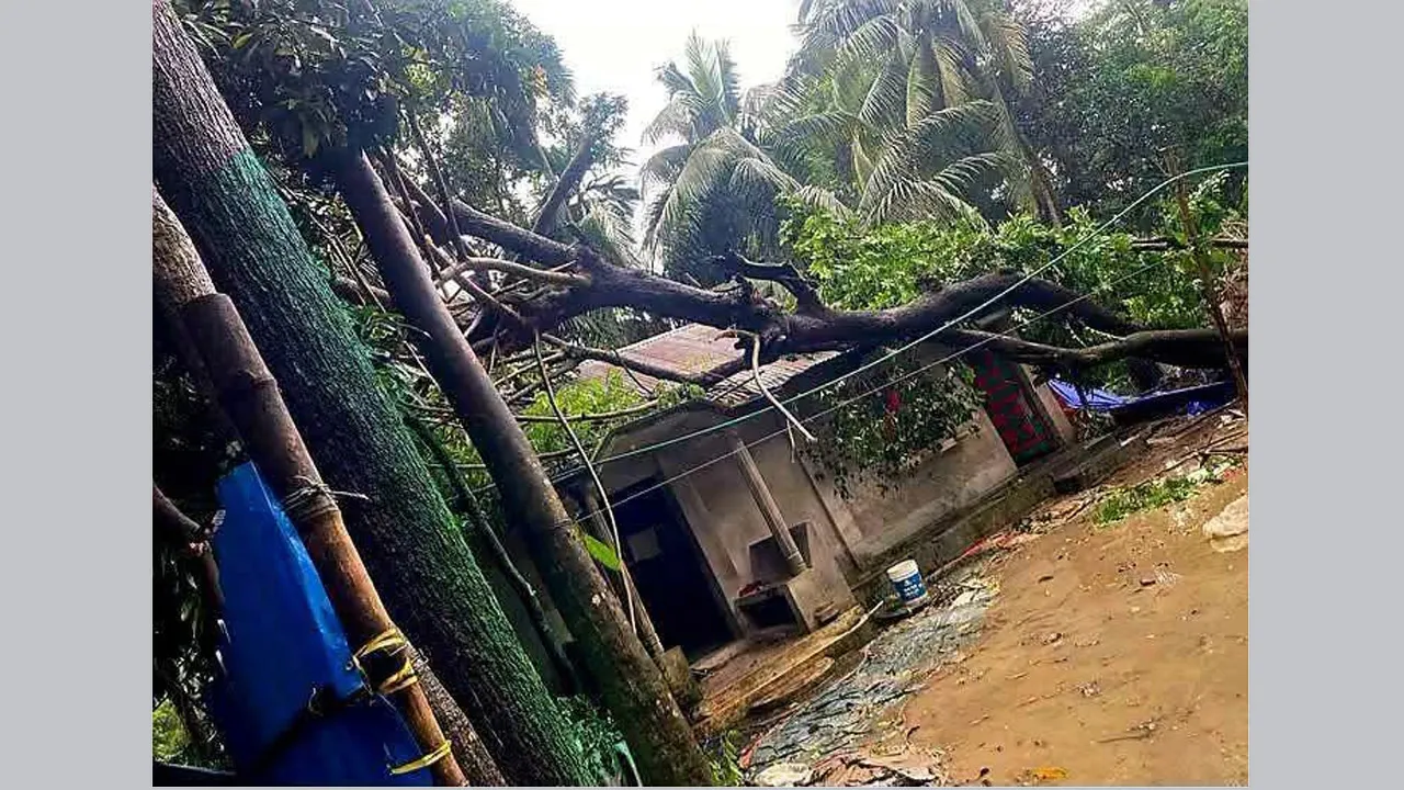 সোনাগাজীতে টর্নেডোর আঘাতে ২০ পরিবারের স্বপ্ন লন্ডভন্ড!