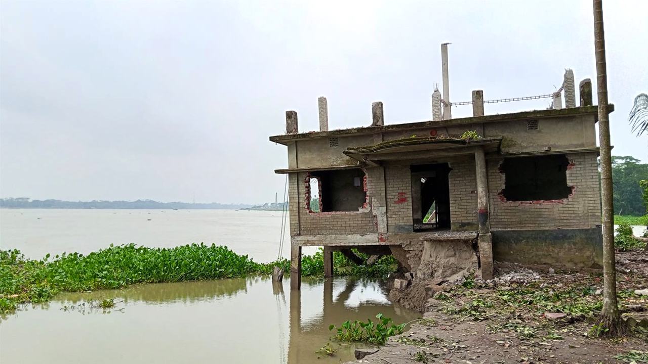 Sondha nidi