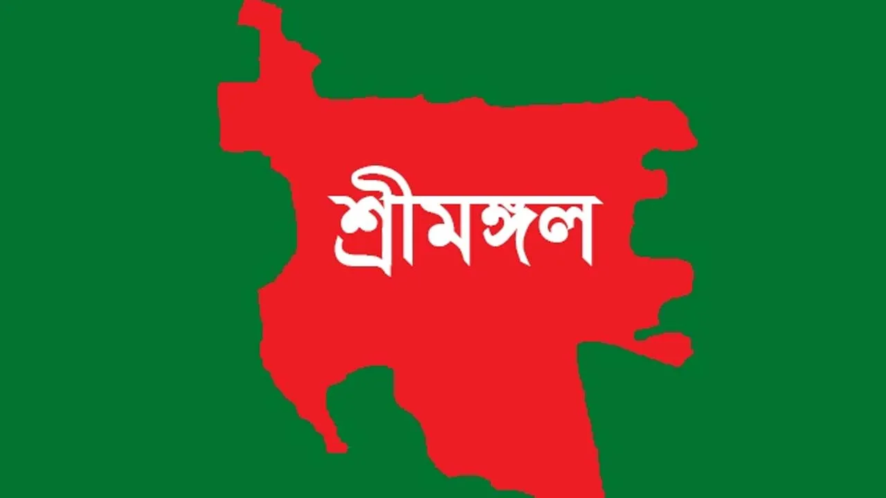 লাউয়াছড়ায় গাড়ি চাপায় এক ব্যক্তি নিহত