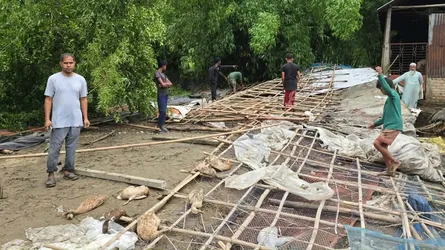 শ্রীবরদীতে কালবৈশাখীর তাণ্ডবে হাঁস-মুরগির খামার লণ্ডভণ্ড