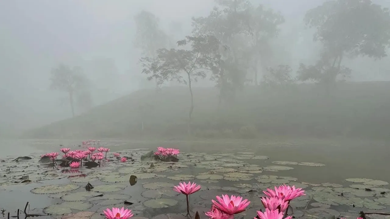 শ্রীমঙ্গলে জেঁকে বসেছে শীত