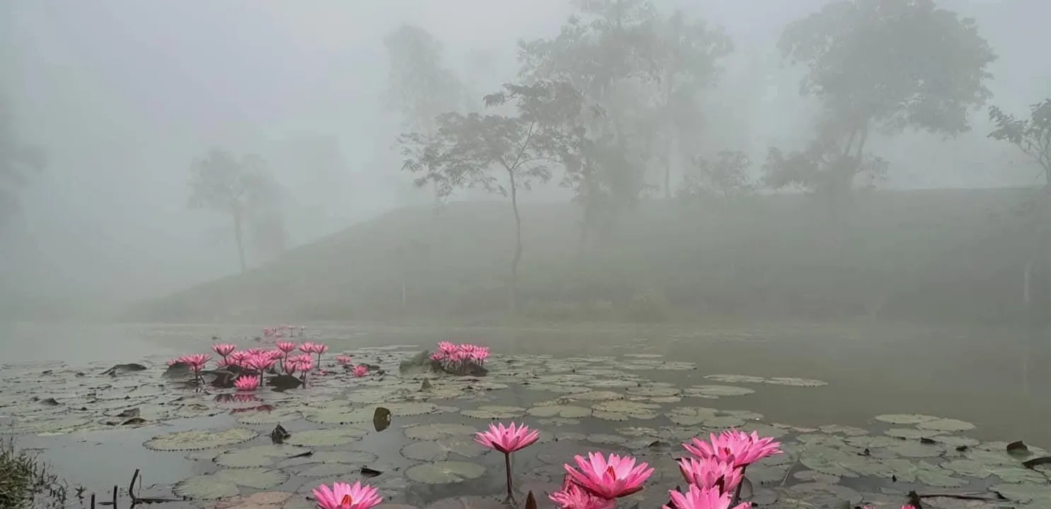 শ্রীমঙ্গলে জেঁকে বসেছে শীত