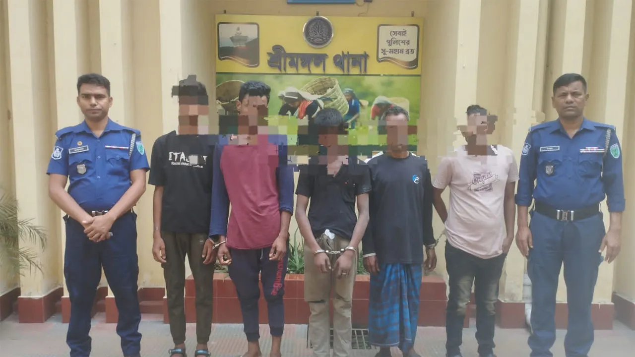 শ্রীমঙ্গলে পুলিশের অভিযানে ছিনতাইকারীসহ গ্রেফতার ৫