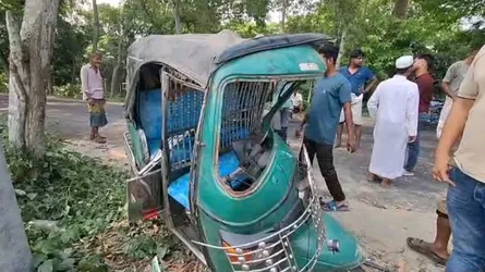 শ্রীনগরে অটোরিকশা-পিকআপ মুখোমুখি সংঘর্ষে নারীসহ আহত ৭