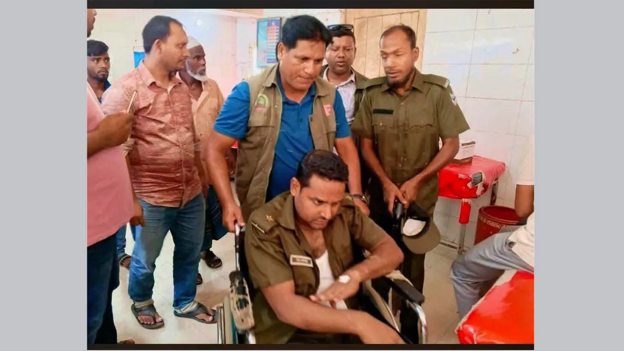 শ্রীপুরে বনভূমি রক্ষা করতে গিয়ে হামলার শিকার রেঞ্জ কর্মকর্তাসহ ১৬ বনকর্মী