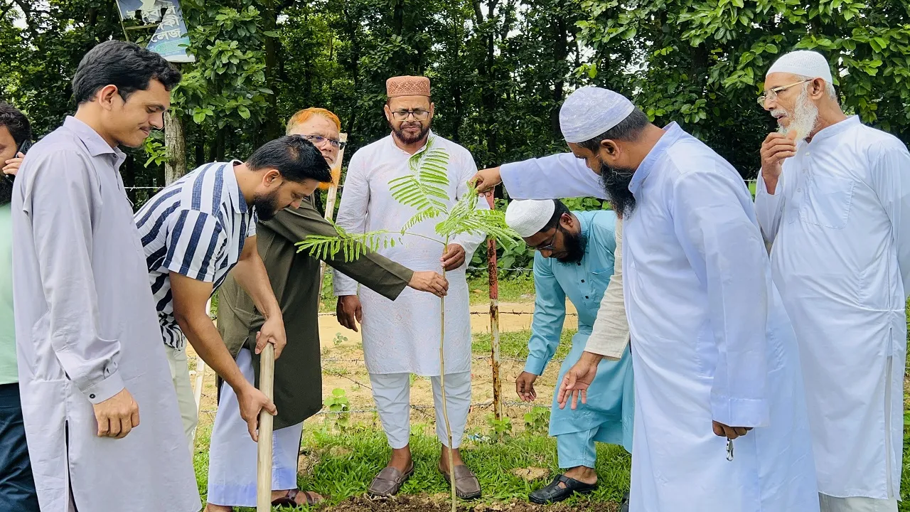 শ্রীপুরে জামায়াতের বৃক্ষরোপণ কর্মসূচি উদ্বোধন