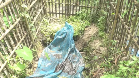 উল্লাপাড়ায় কবর থেকে কঙ্কাল চুরির অভিযোগ