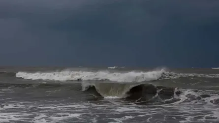 ঘূর্ণিঝড় ‘ডিটওয়াহ’র কারণে সমুদ্রবন্দরে সতর্কতা