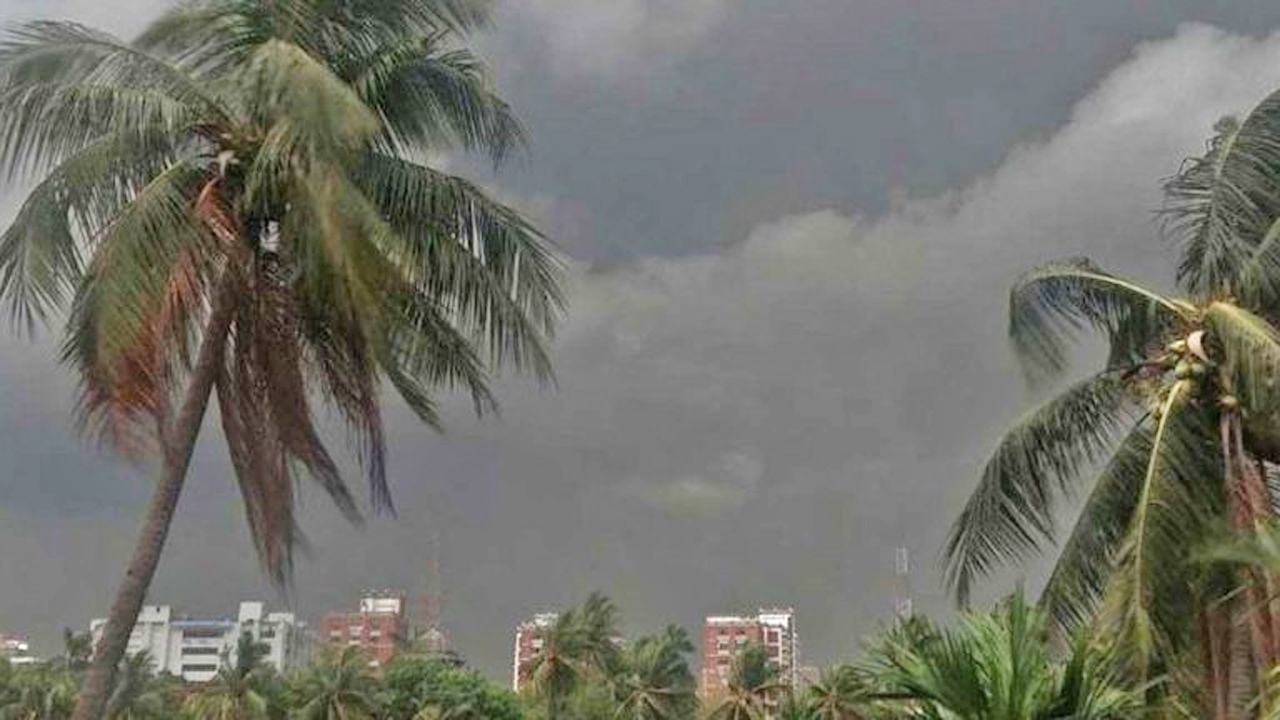 Storms-forecast-at-speeds-of-80-kilometers-per-hour-in-12-regions-of-the-country