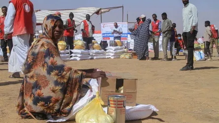 সুদানের দক্ষিণ করদোফানে গোলাবর্ষণে নিহত ১৬