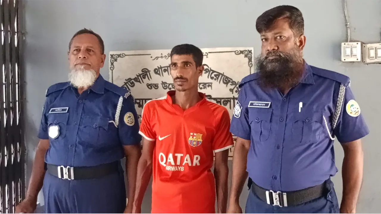 কাউখালীতে কাঠের ডাসার আঘাতে মাকে হত্যা, ছেলে গ্রেফতার