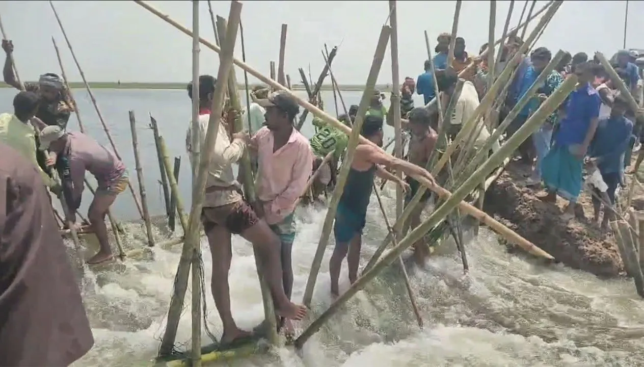 দেখার হাওরের বাঁধ রক্ষায় কৃষকদের প্রাণপণ চেষ্টা, তবু বোরো ধানের ক্ষতি
