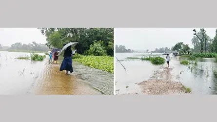 পাহাড়ি ঢলে দোয়ারাবাজারে বাড়ছে পানি, পুকুর তলিয়ে যাওয়ার শঙ্কায় মাছ চাষিরা