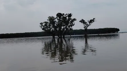 সুনামগঞ্জে পাহাড়ি ঢলে নদ-নদীর পানি বাড়ায় দুর্ভোগ