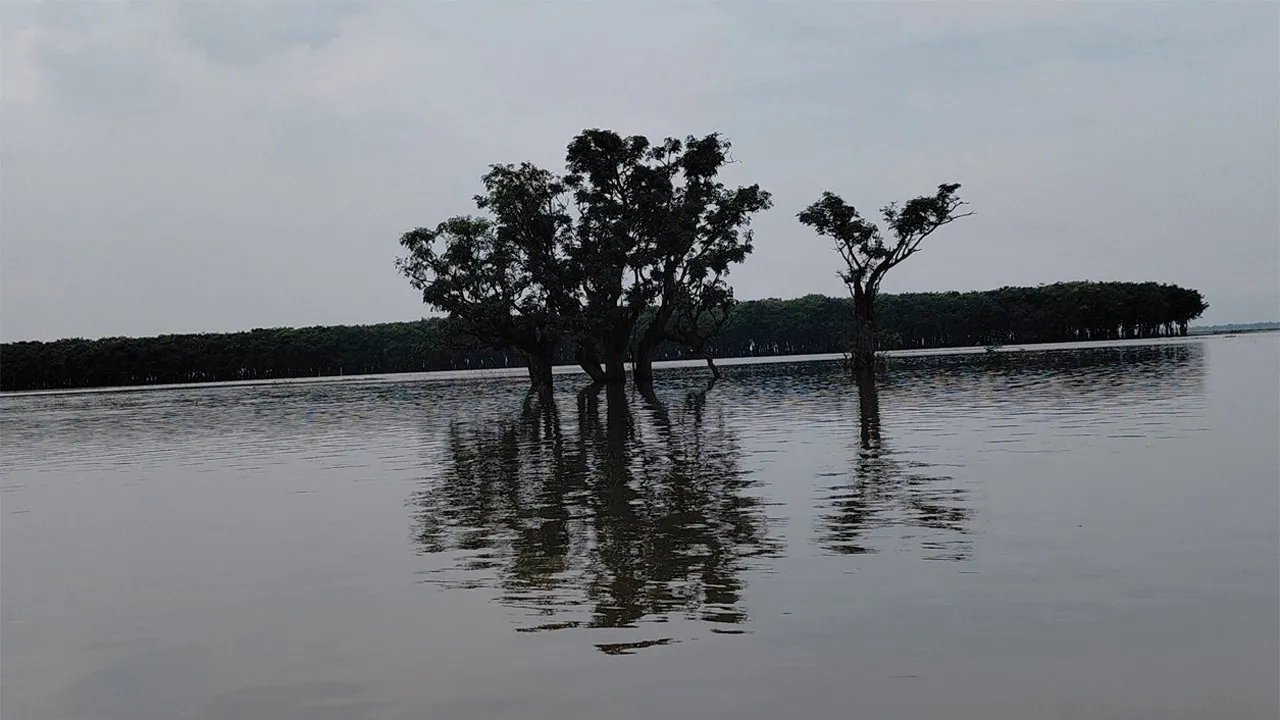 সুনামগঞ্জে পাহাড়ি ঢলে নদ-নদীর পানি বাড়ায় দুর্ভোগ