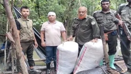 সুন্দরবনে শুঁটকির মাচা ধ্বংস, জাল ও নৌকা জব্দ