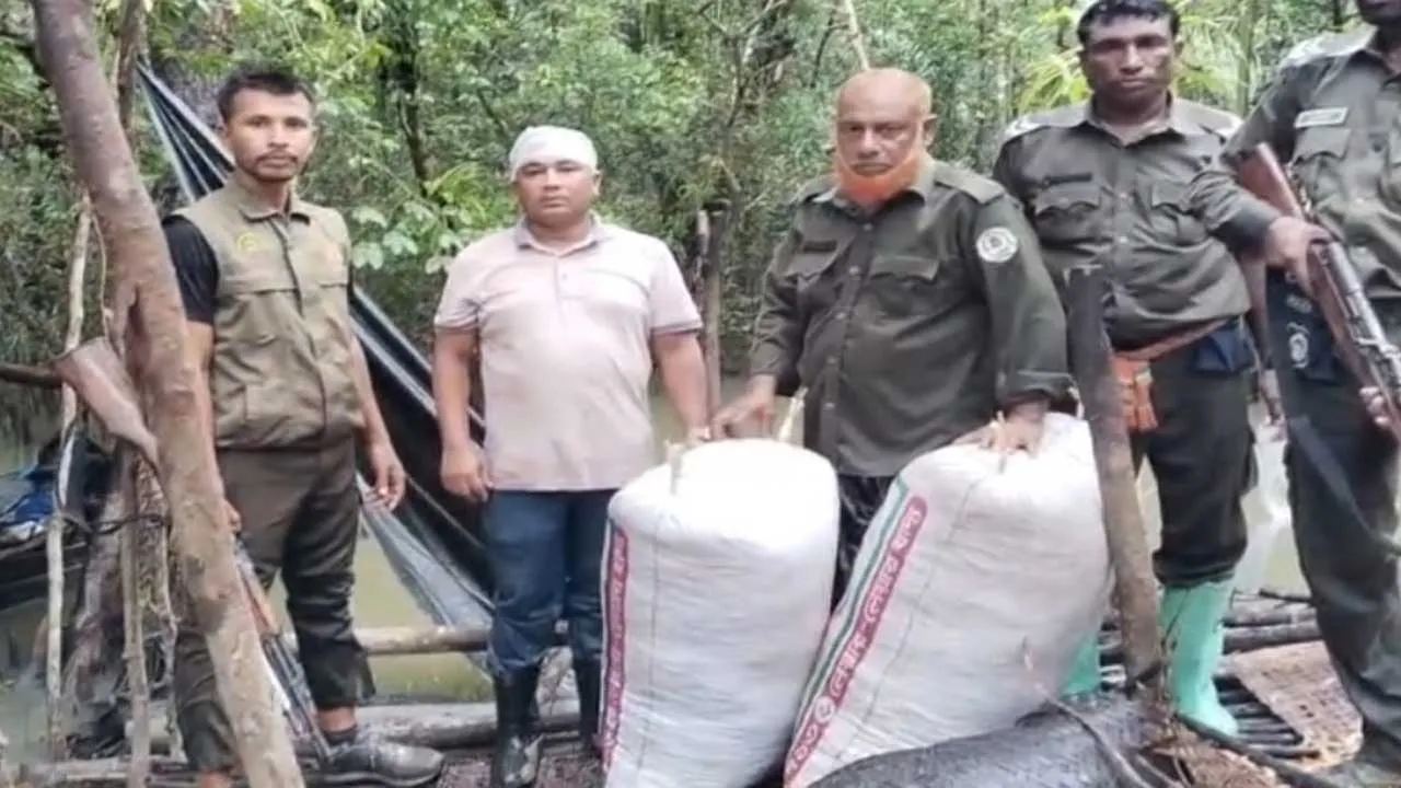 সুন্দরবনে শুঁটকির মাচা ধ্বংস, জাল ও নৌকা জব্দ