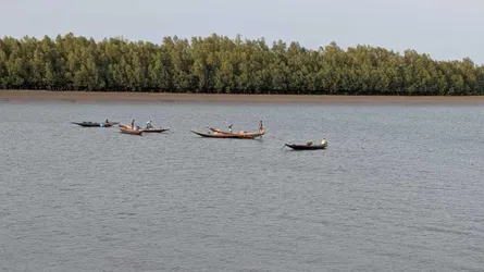 সুন্দরবনে প্রবেশে তিন মাসের নিষেধাজ্ঞা কাল শুরু