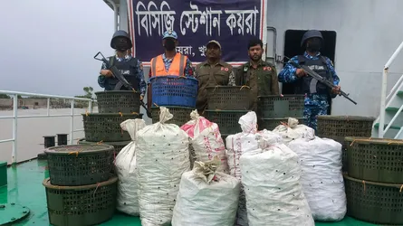 সুন্দরবনে ৭০০ কেজি কাঁকড়াসহ ট্রলার জব্দ